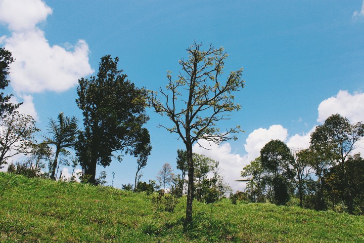idukki