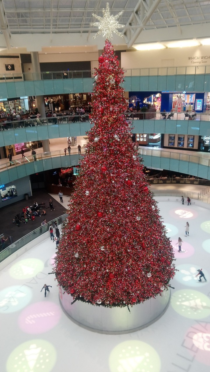 Dallas MaLL