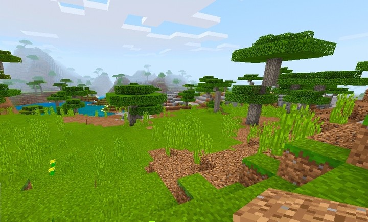 Minecraft