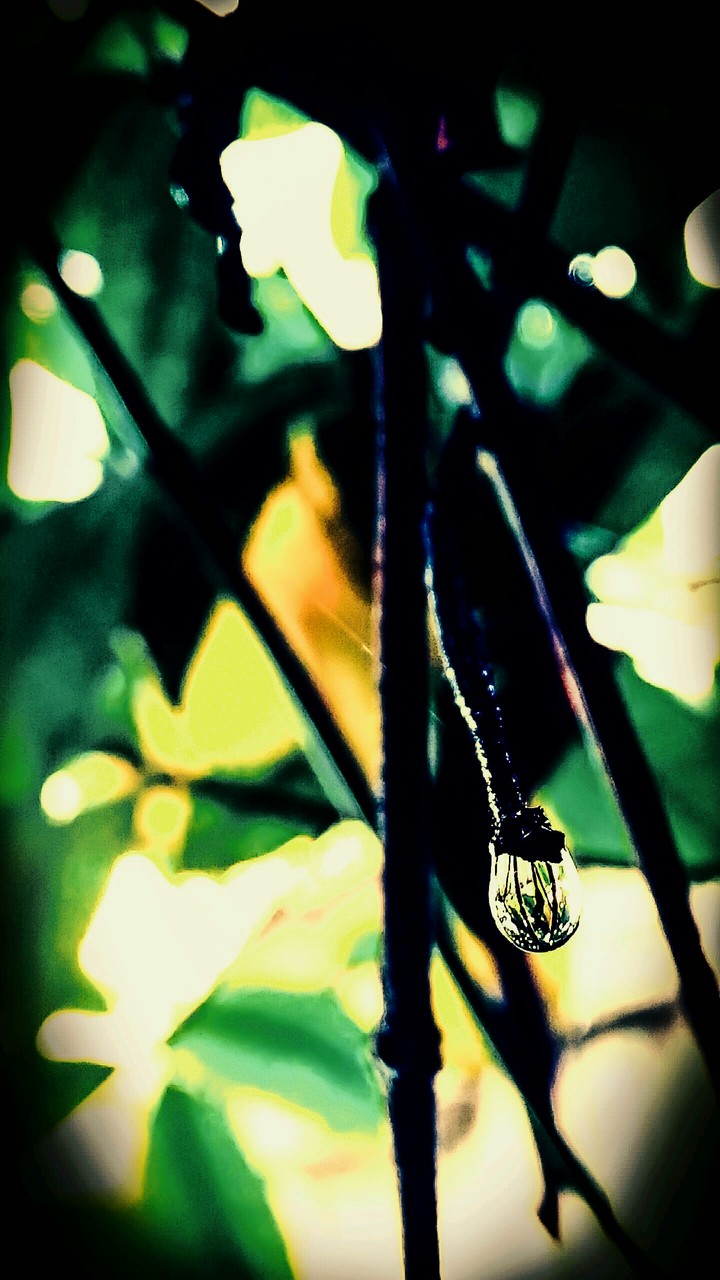 Rain drop