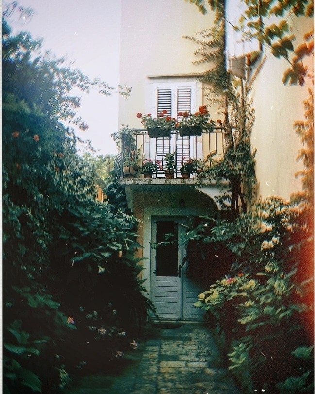 summer