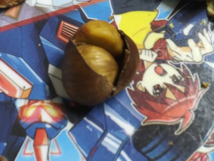 쌍알밤