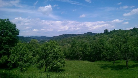 Green Freedom