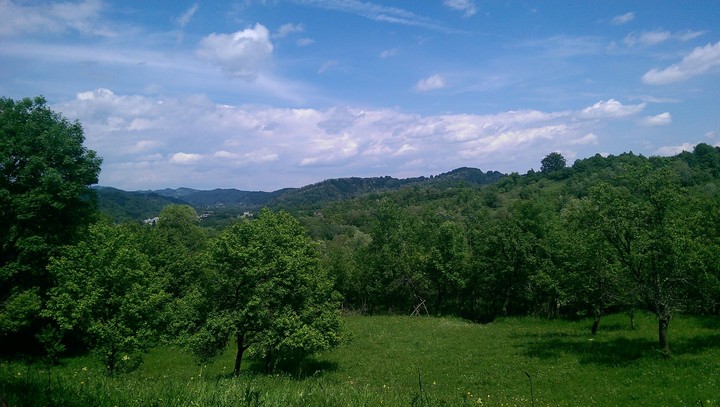 Green Freedom