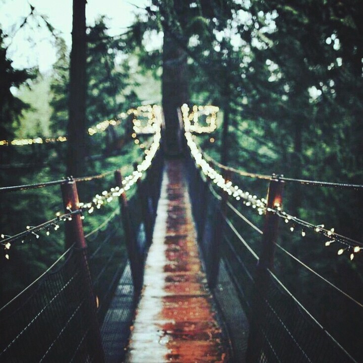 way to beauty
