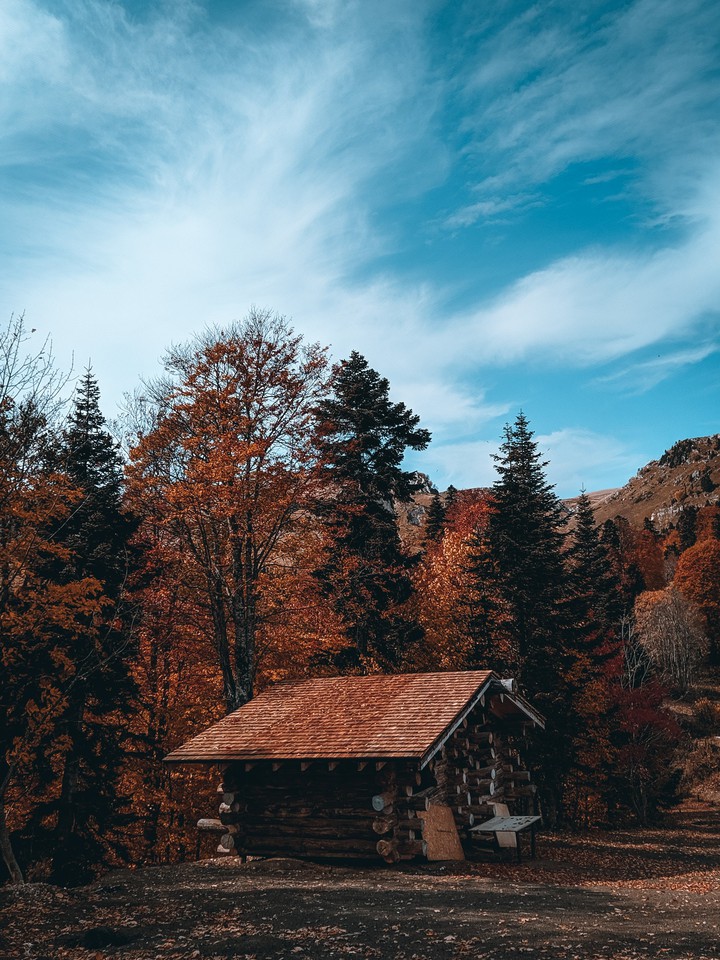house in the forest