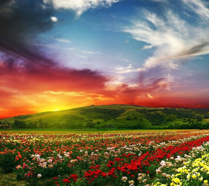 Colourful valley