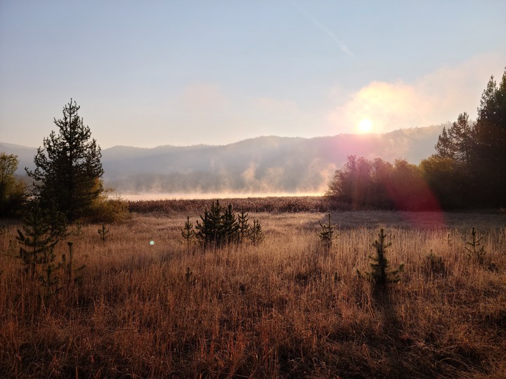 Frosty Sunrise 2