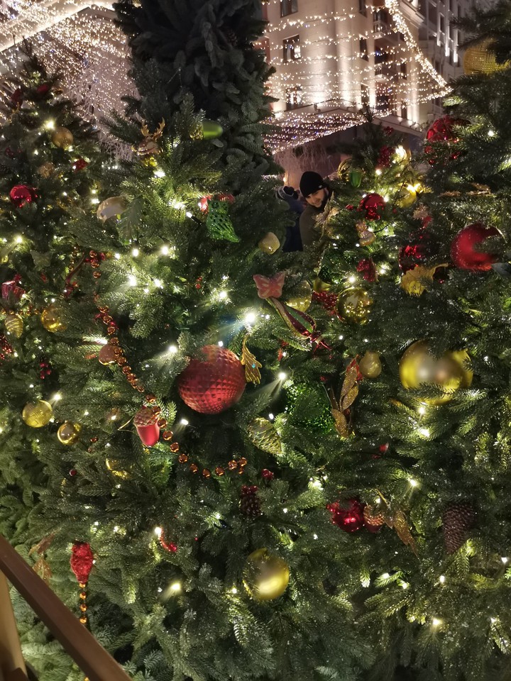 Tree