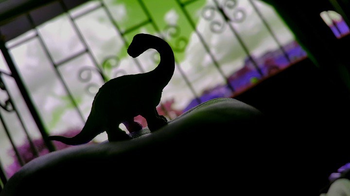 My pet: Dino