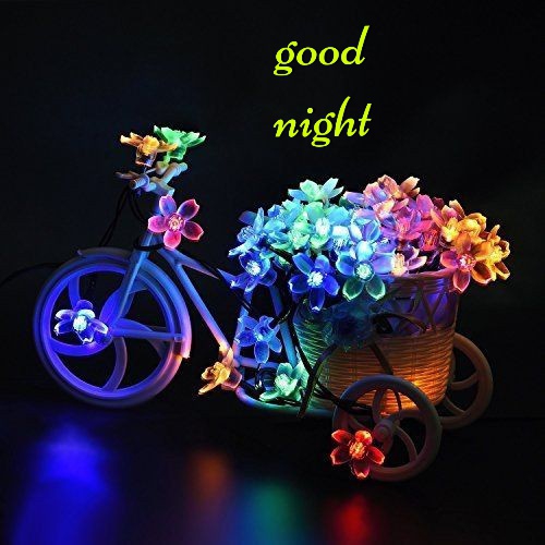 Good Night