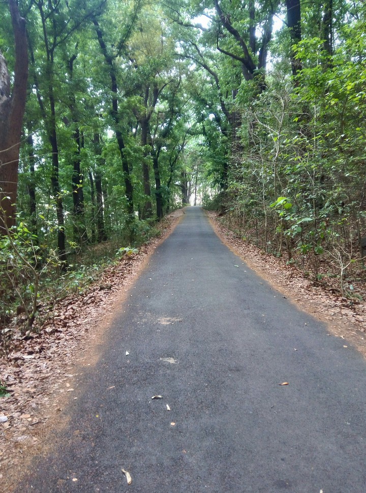 Green Nature