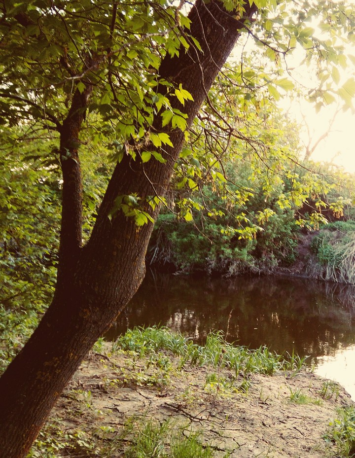 River