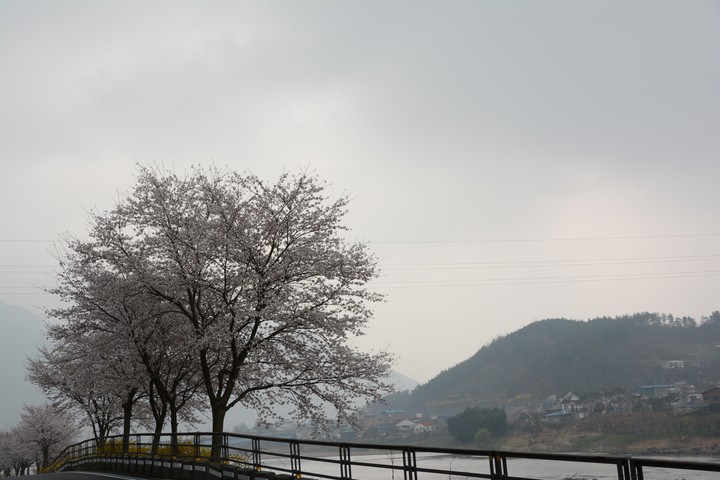 풍경이미지