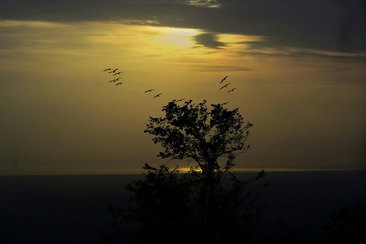 Evening story
