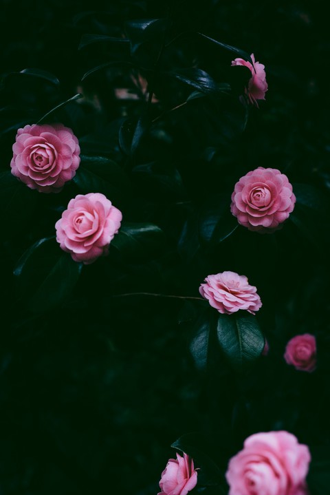 тапети color, wallpaper