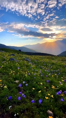nature