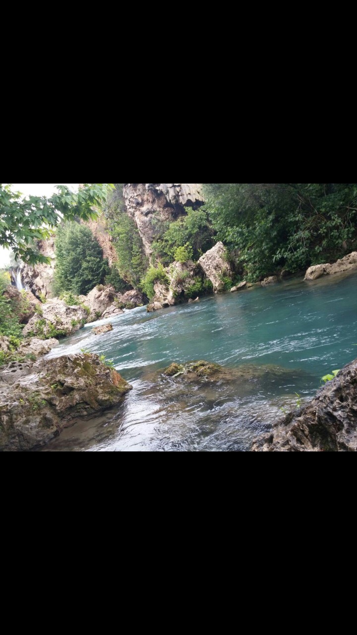 Vadi