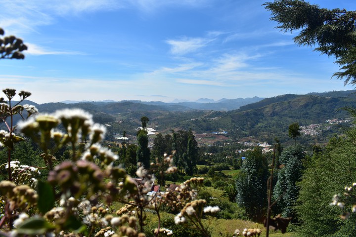 Ooty