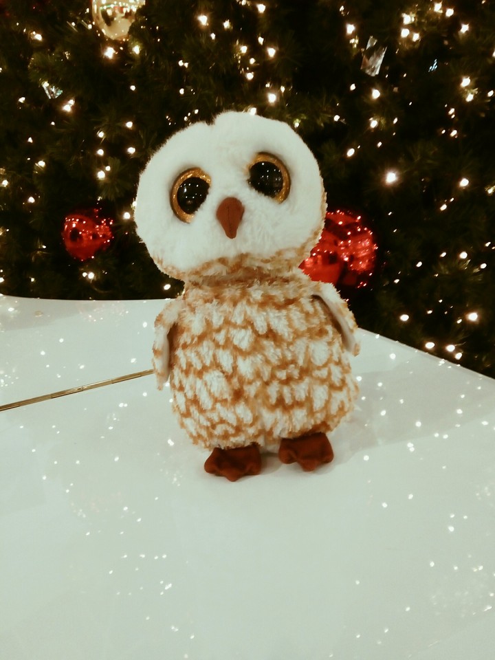 Owl