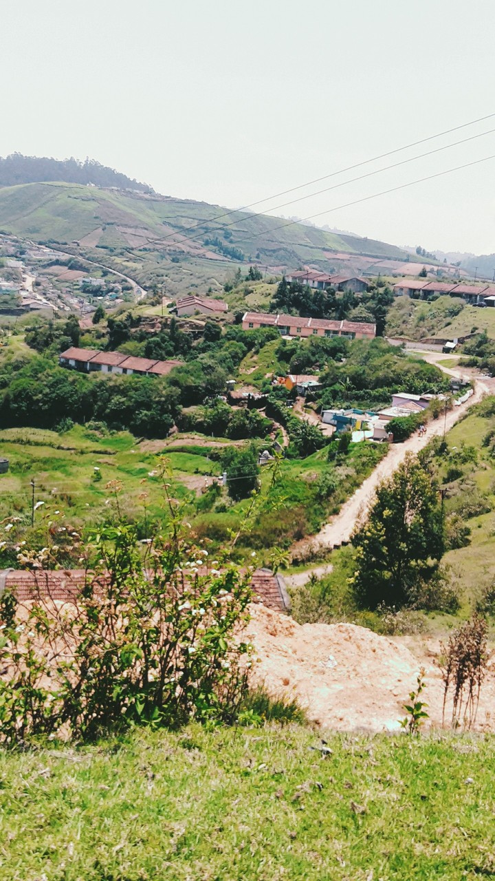 nature