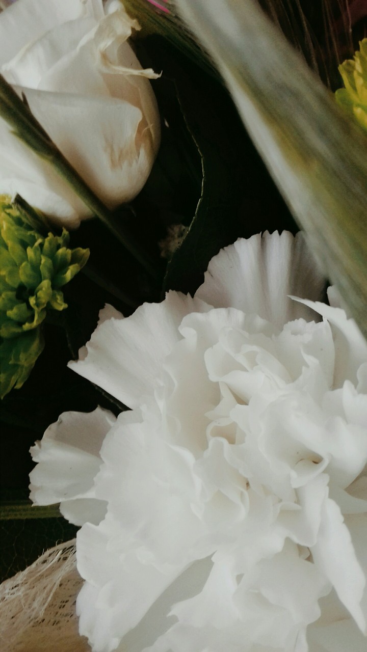 Weeding flowers