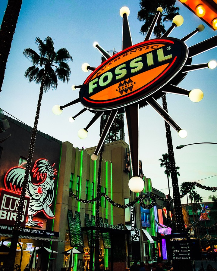 Fossil store