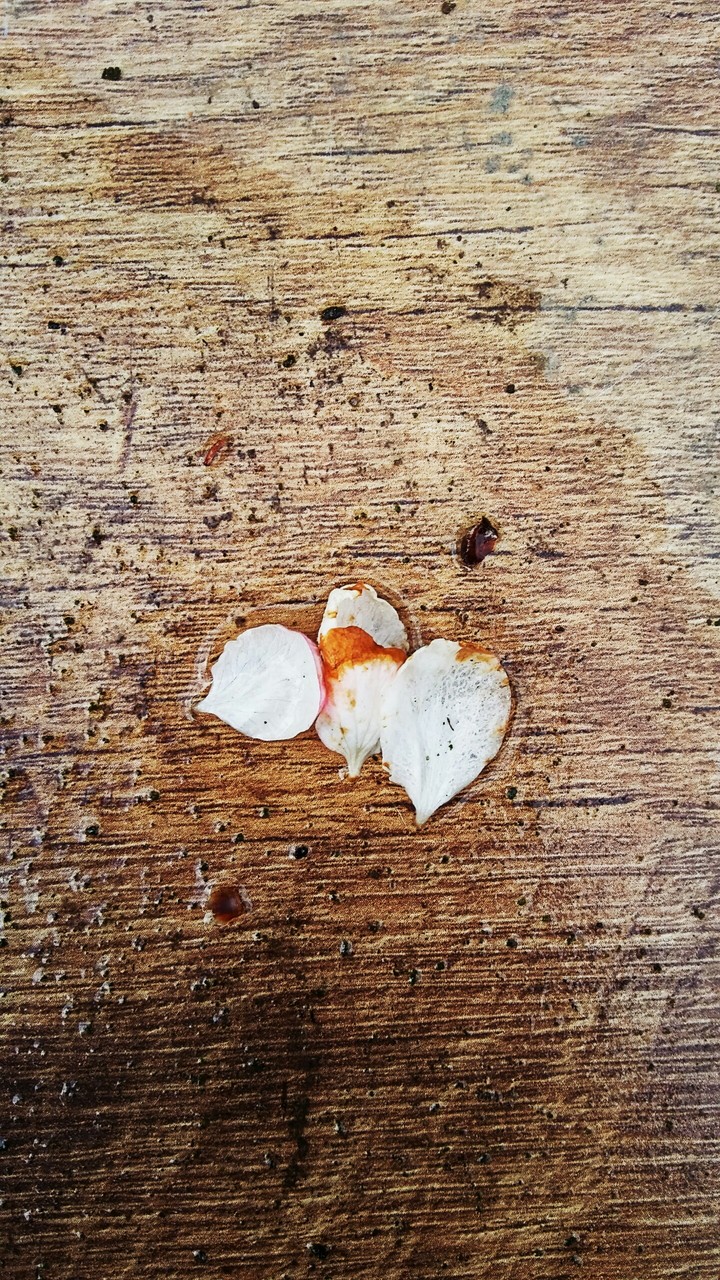cherry flakes