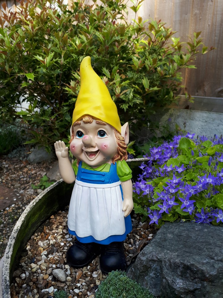Mrs Gnome says good morning :-)