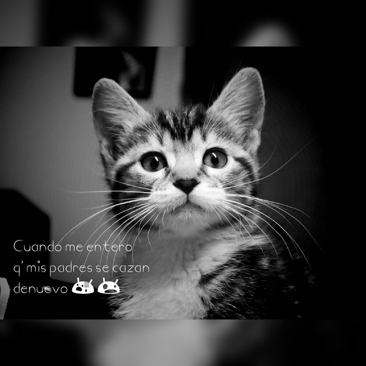 Asombrosamente!!!