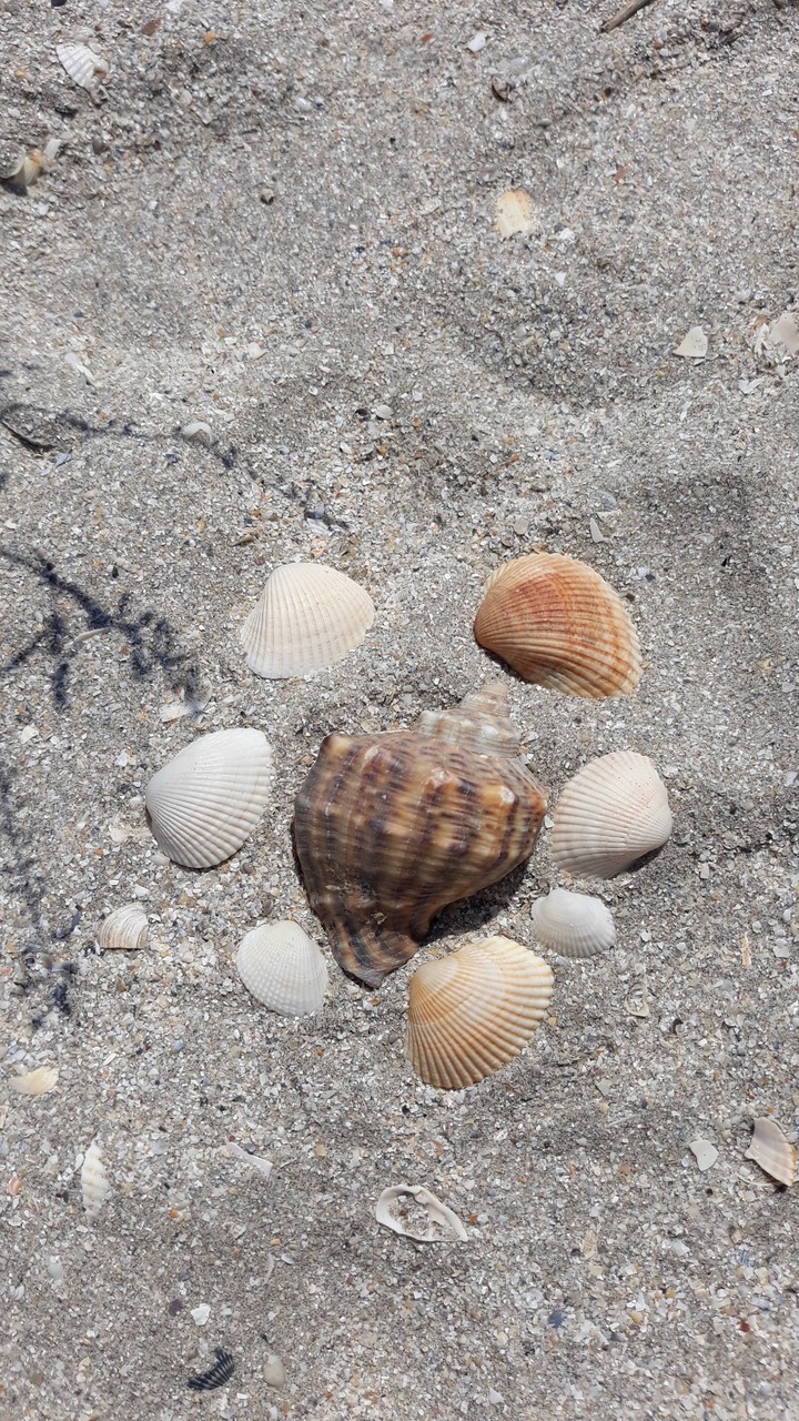 sand