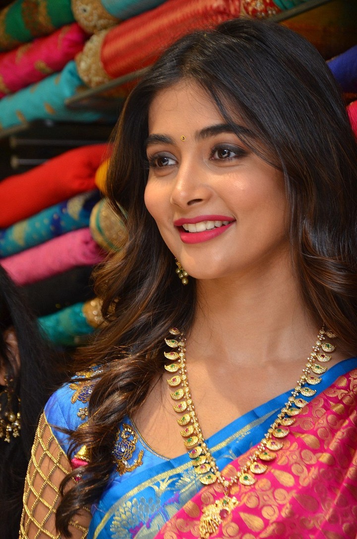 poojahedge