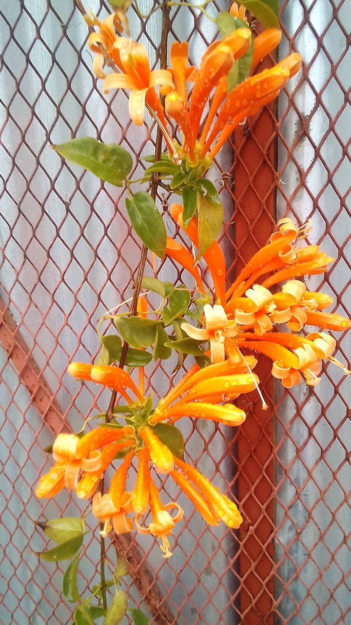 Taken by me