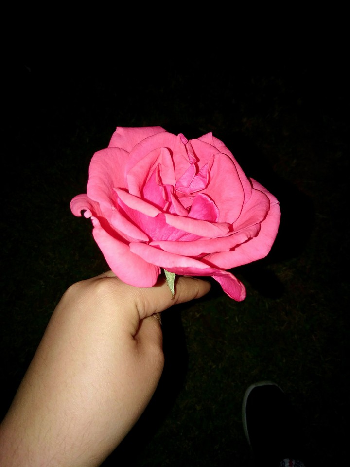 love