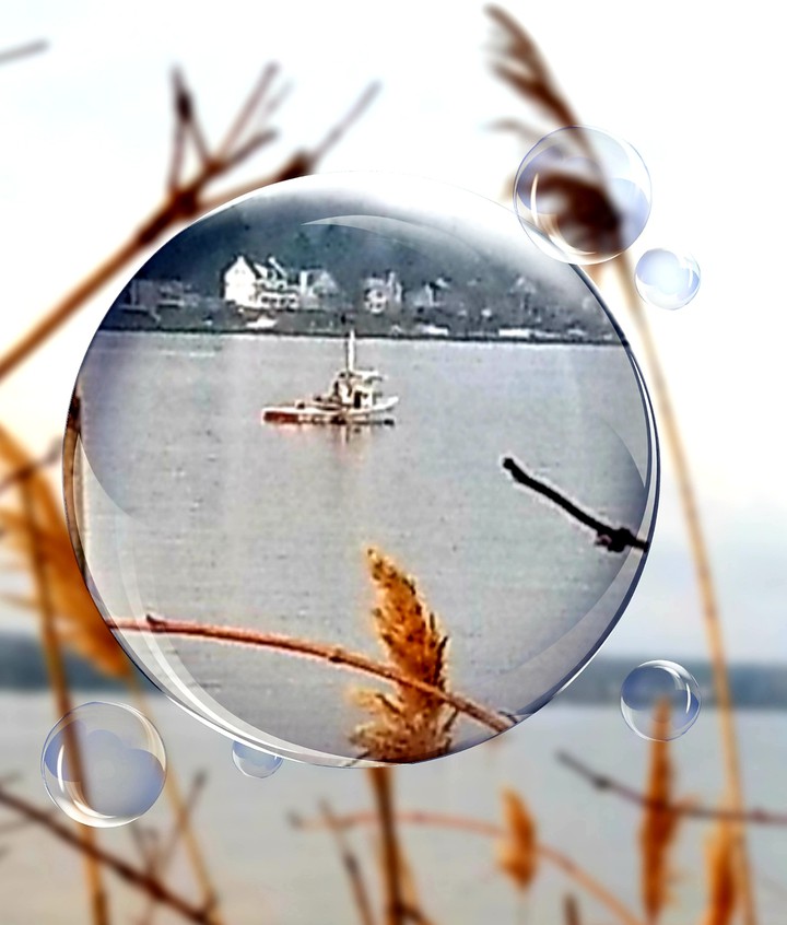 maryland Oystermen bubble