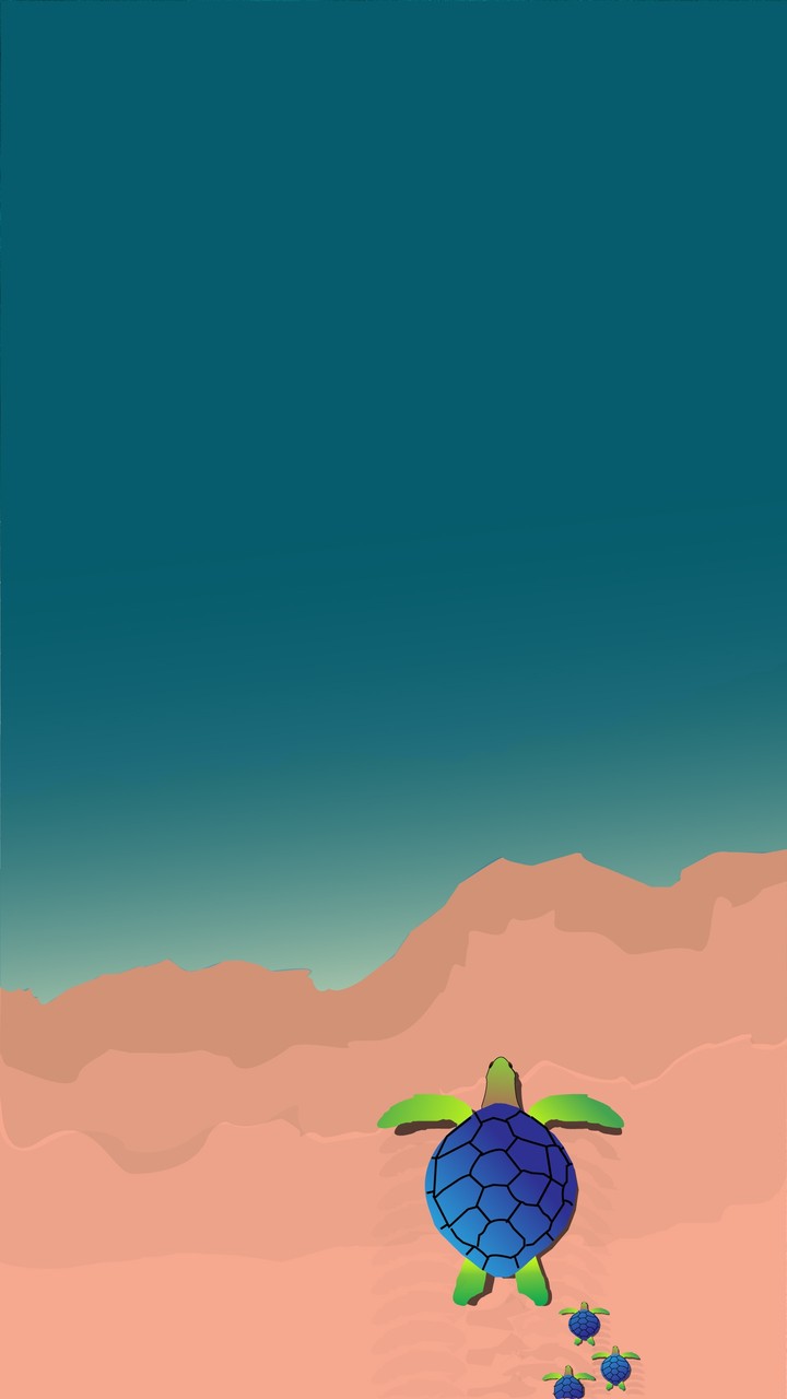 beach turtle