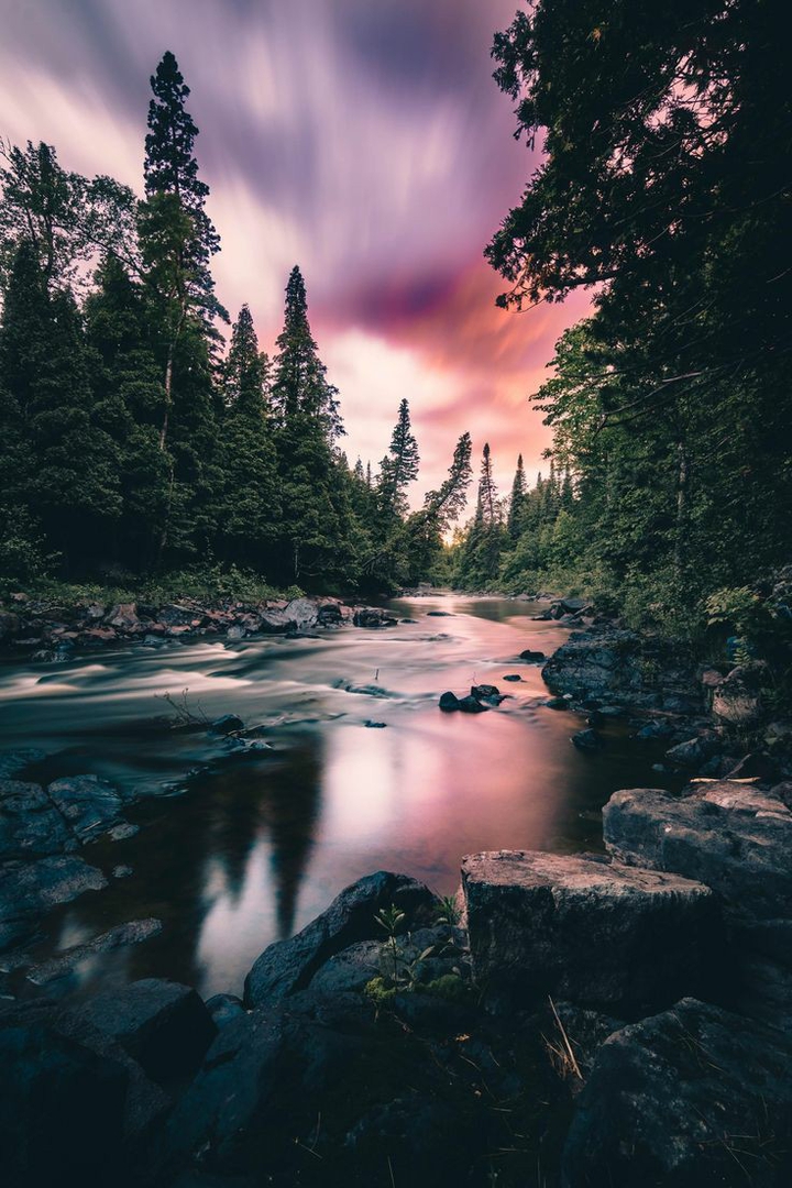 nature
