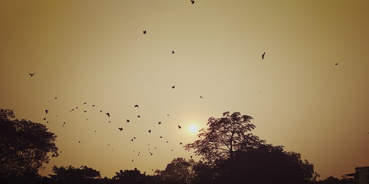 beauty of nature