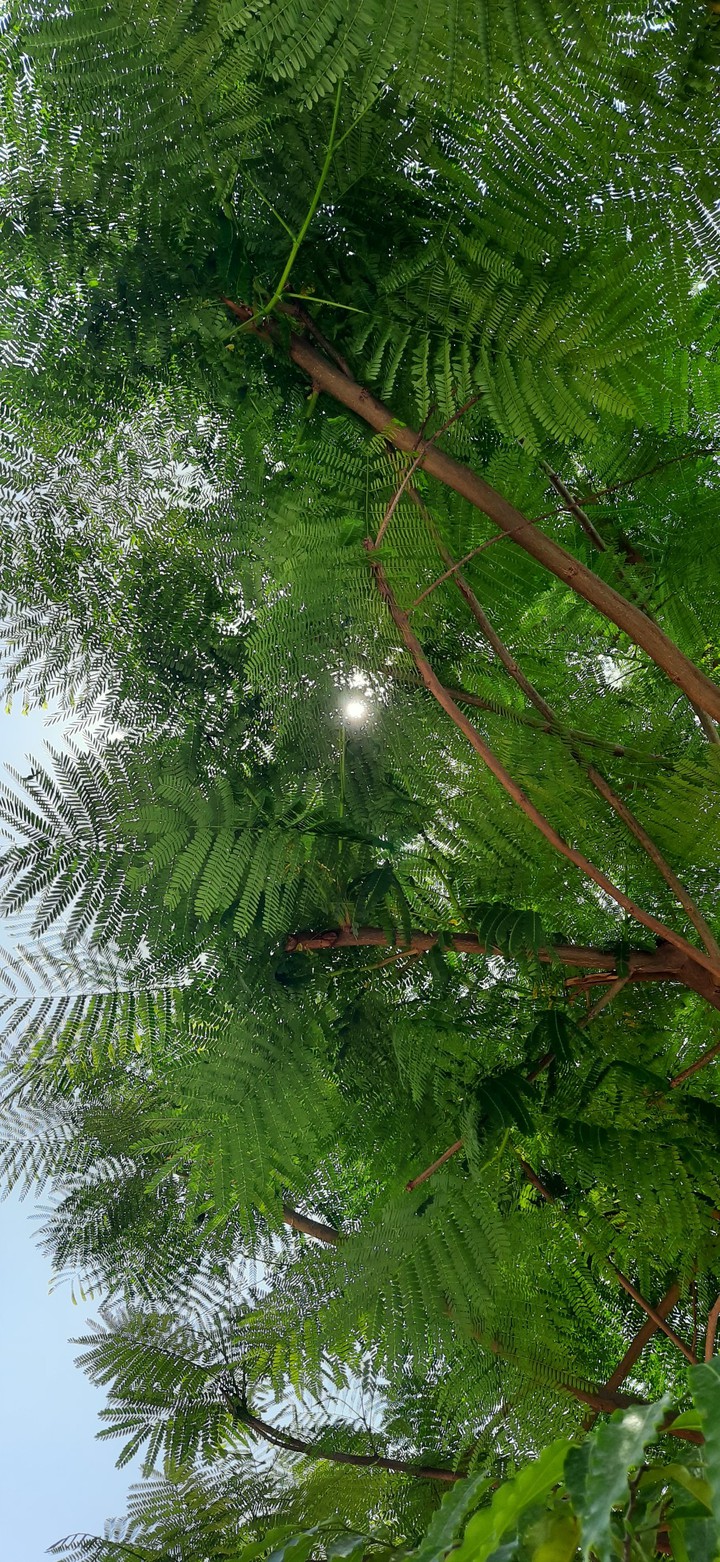 greenery