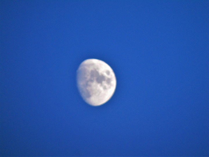 Moon