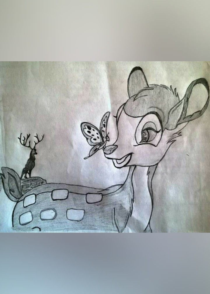 deer