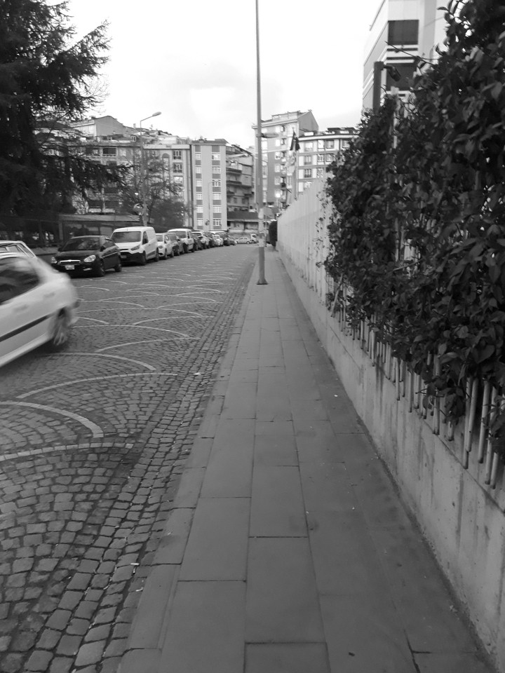 sokak ve yeşillik