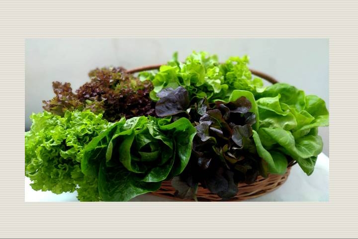 leafy vegetables