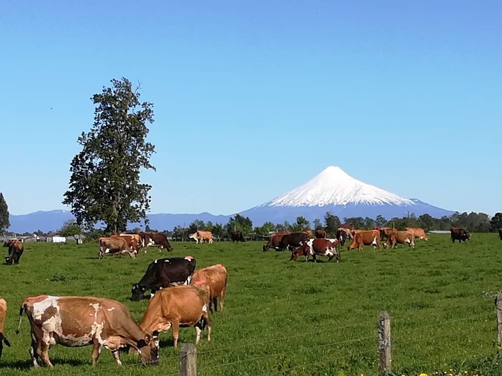 South of Chile