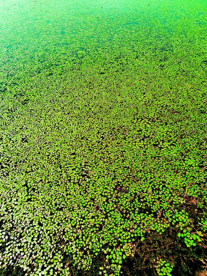 lake