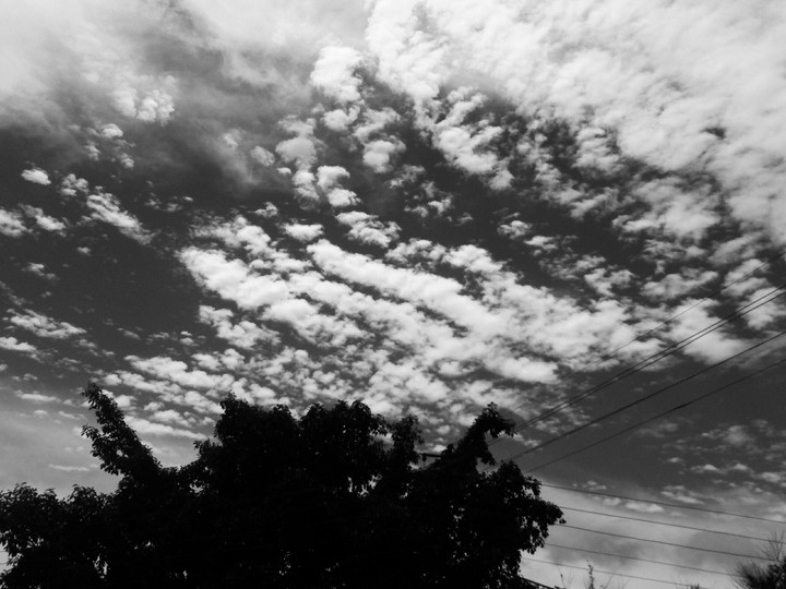 Monochrome.