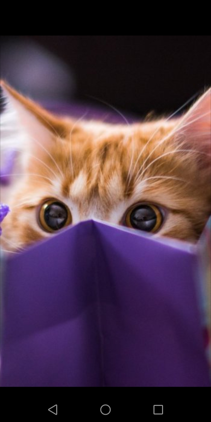 ❤ ❤ ❤ ❤ ❤ ❤ ❤ ❤ ❤ ❤ ❤ ❤ ❤