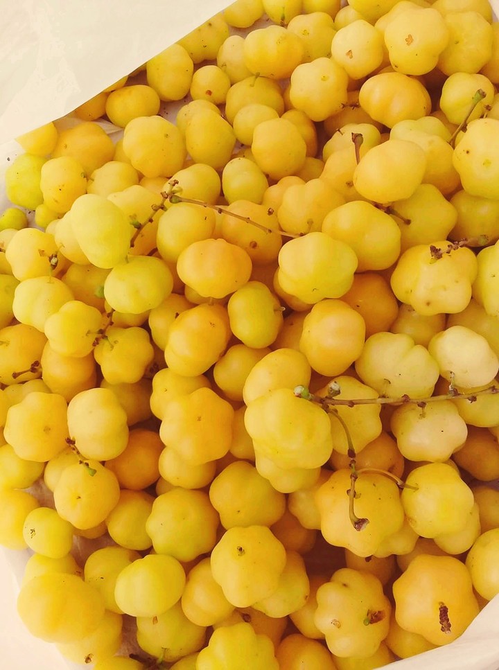 fruits