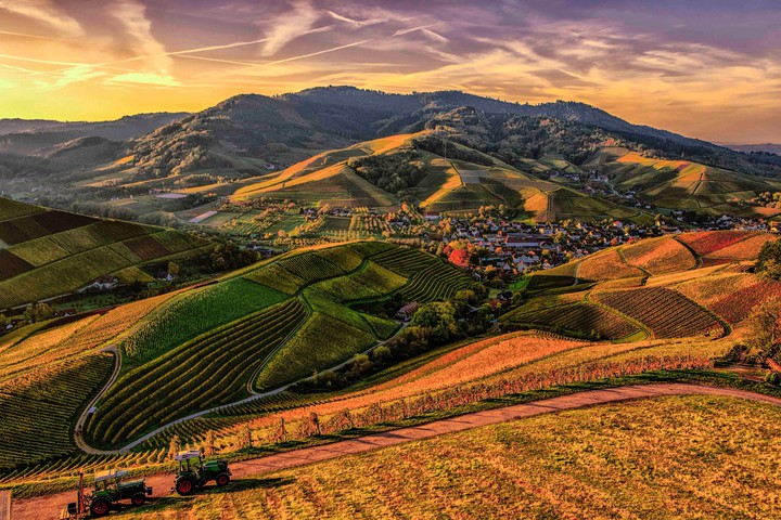 Brown and green mountain view photography