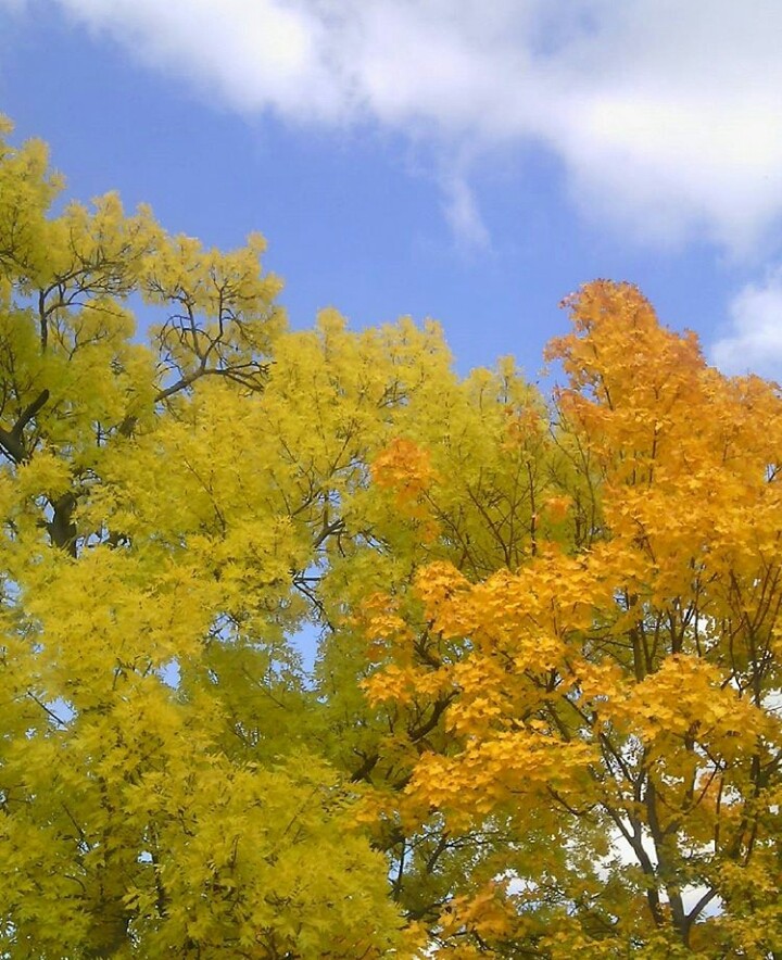 Autumn